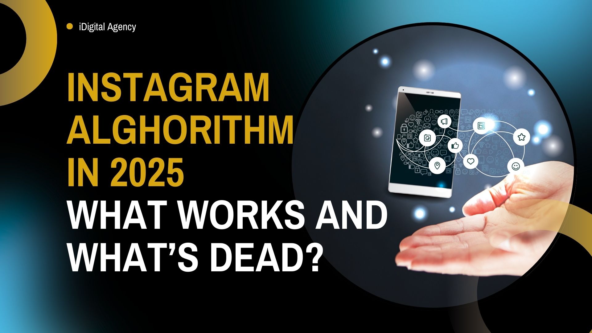 idigital-agency-instagram-algorithm